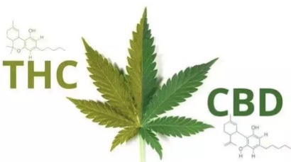 抗神经退行性疾病