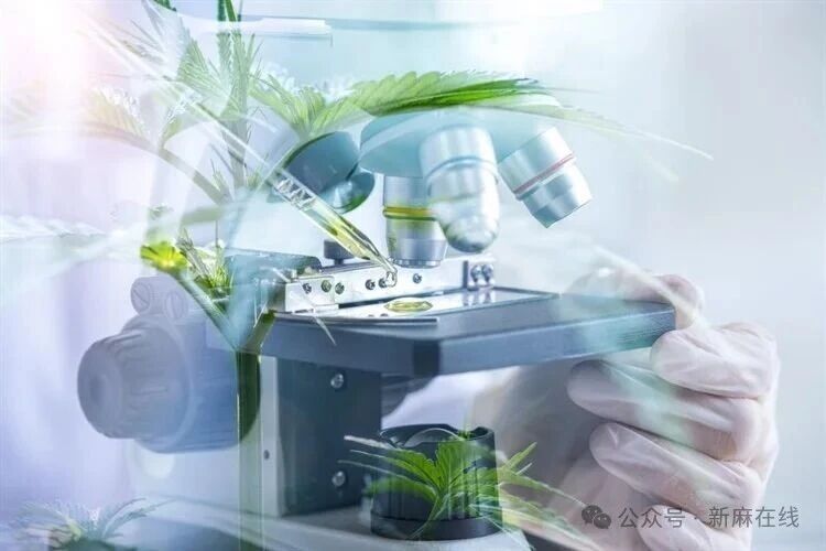 重要研究〡CBD纳米制剂治疗皮肤病：治疗证据和疗效系统评价