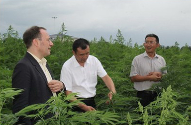 恒元汉麻组织汉麻国际技术交流
