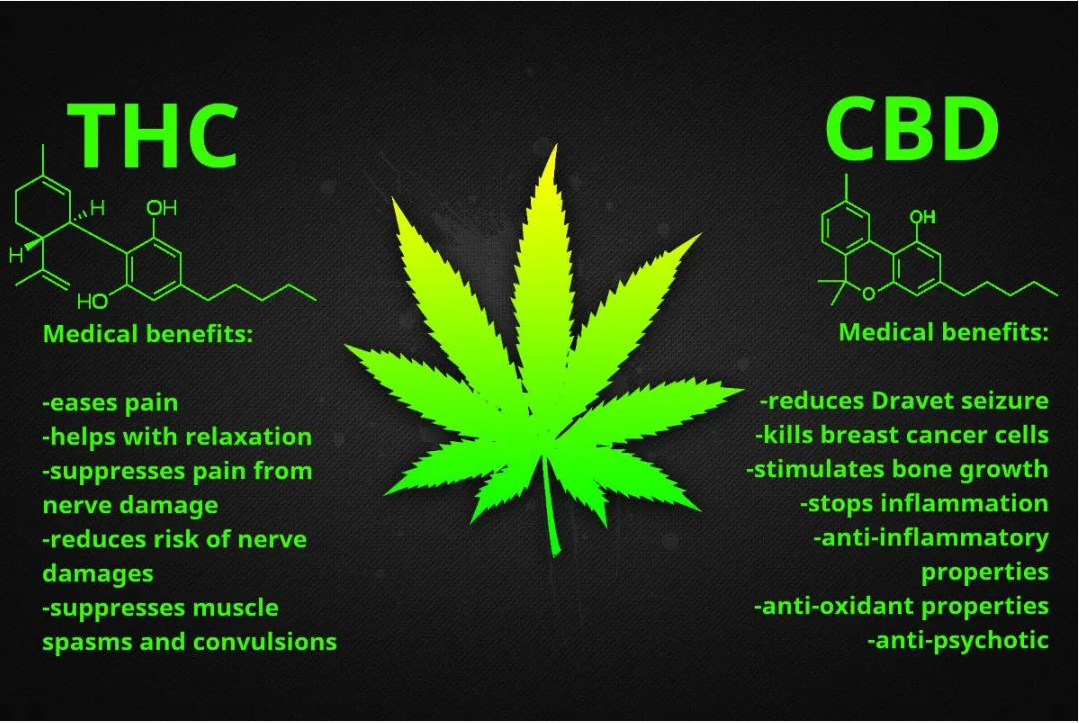 什么情况？台湾竟然准备开始使用医用大麻了？？合法吗？？？