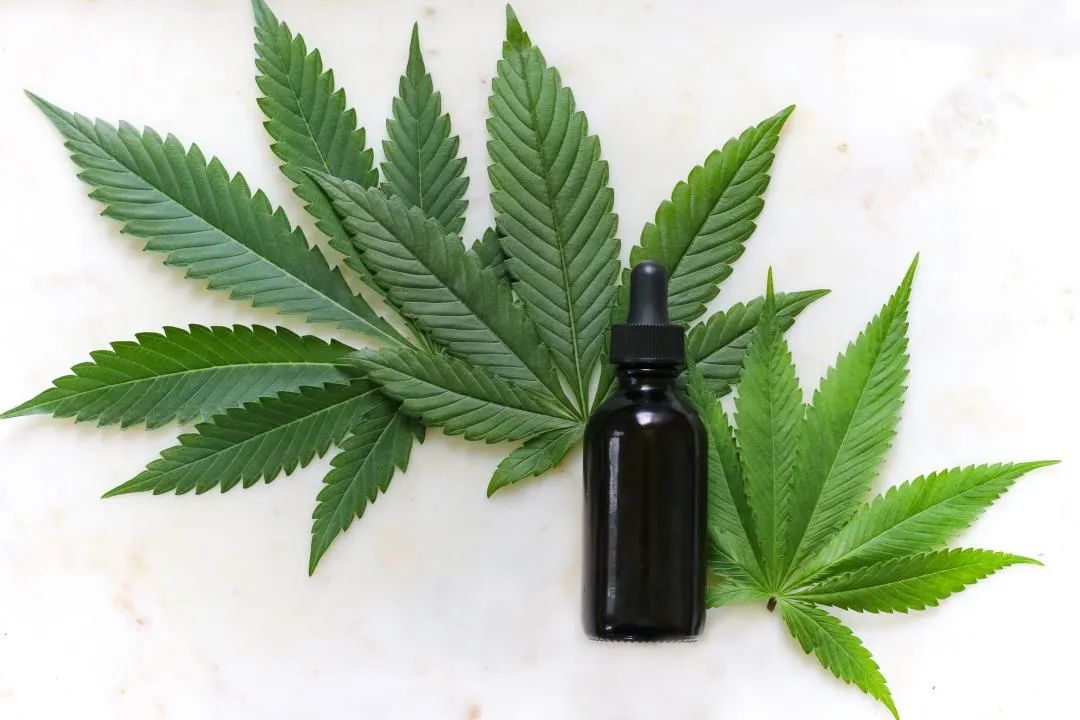 《药物与衰老》杂志：医用大麻显著改善老年患者的健康、幸福感、睡眠和情绪