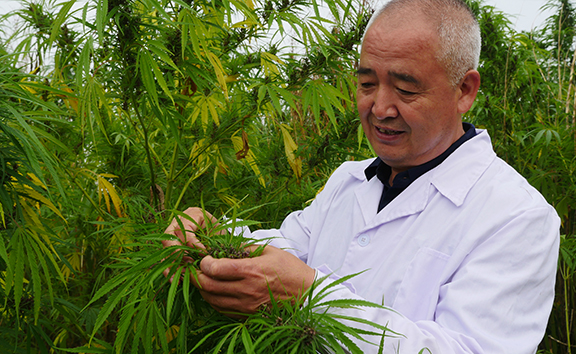 王殿奎