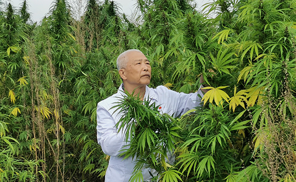 卫德林